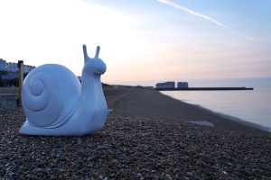 Snail on Brighton Beach