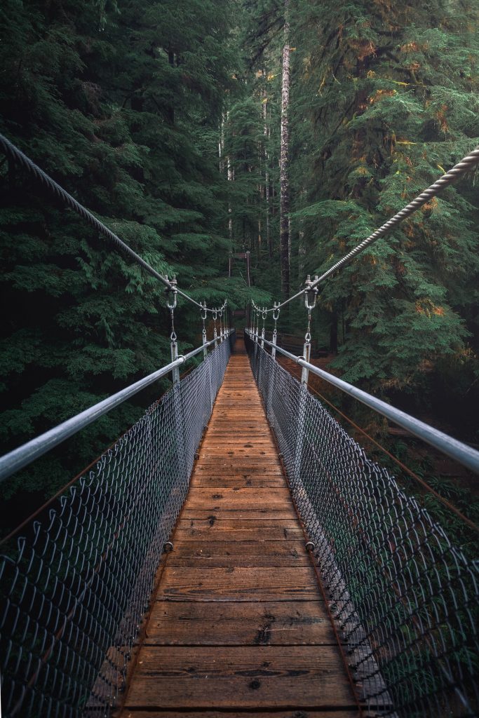 hanging bridge cables