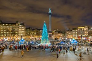 Trafalgar Street Xmas Tree