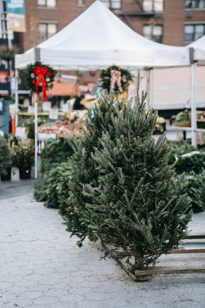 Christmas tree sellers tips